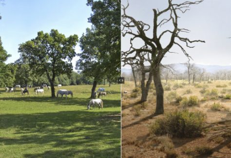 2021_razstava_naVrociStraniAlp_Lipica_800px