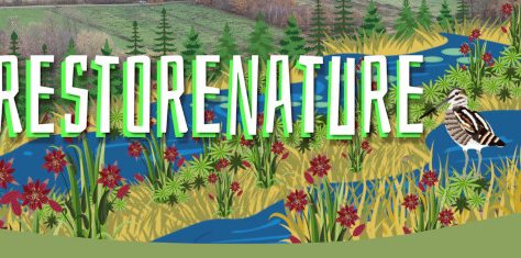 2021_peticija_RestoreNature_600px