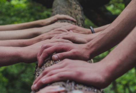 hands-ngo-tree-unsplash_600px