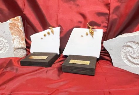 horus-adrastos-nagrada-foto-aleksandar-domitrica-mediaspeed-za-IRDO